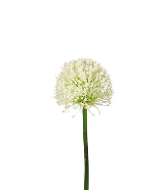 4A Kunstbloemen Allium 62cm ( x 6 )