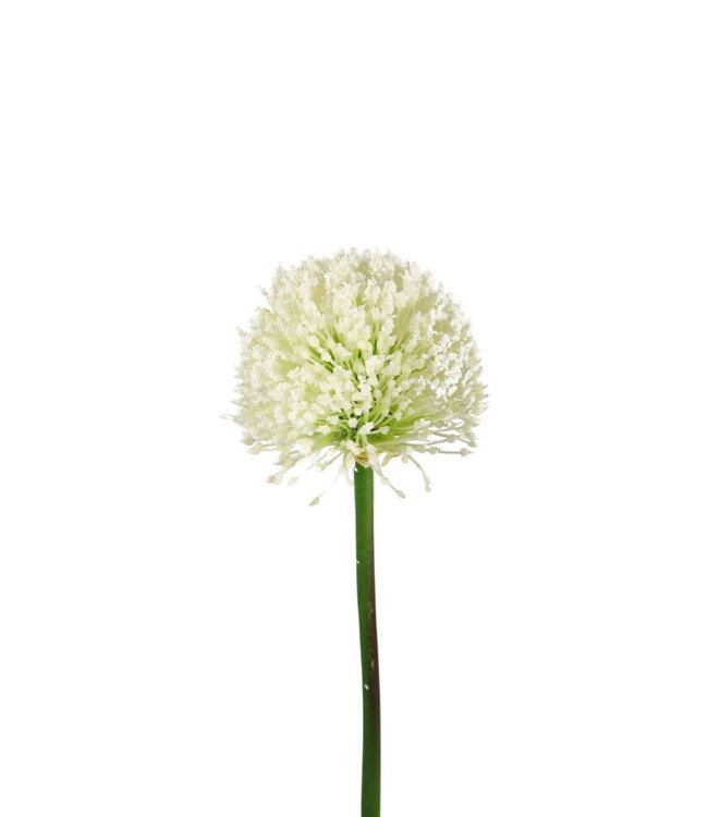 Kunstbloemen Allium 62cm ( x 6 )