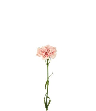 4A Kunstbloemen Carnation 53cm ( x 6 )