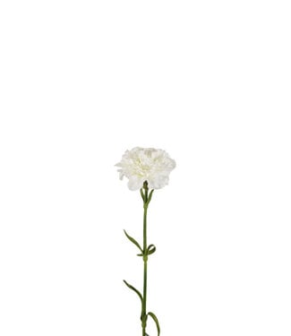 4A Kunstbloemen Carnation 53cm ( x 6 )