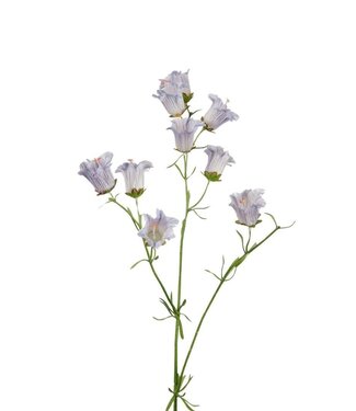 4A Kunstbloemen Campanula 88cm ( x 4 )