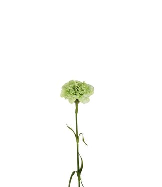 4A Kunstbloemen Carnation 53cm ( x 6 )