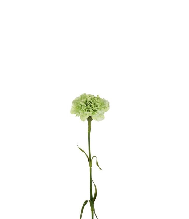 Kunstbloemen Carnation 53cm ( x 6 )