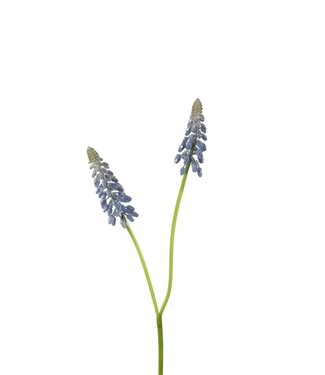 4A Kunstbloemen Muscari 45cm ( x 12 )