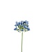 Kunstbloemen Agapanthus 75cm ( x 6 )