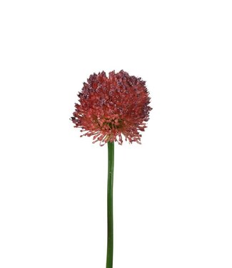 4A Kunstbloemen Allium 62cm ( x 6 )