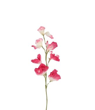 4A Kunstbloemen Sweetpea 56cm ( x 6 )