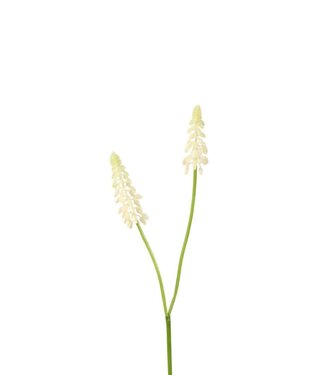 4A Kunstbloemen Muscari 45cm ( x 12 )