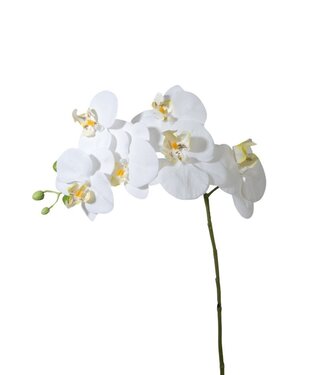 4A Kunstbloemen Phalaenopsis 68cm ( x 6 )