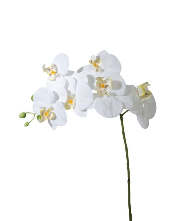 Kunstbloemen Phalaenopsis 68cm ( x 6 )