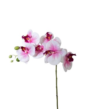 4A Kunstbloemen Phalaenopsis 68cm ( x 6 )