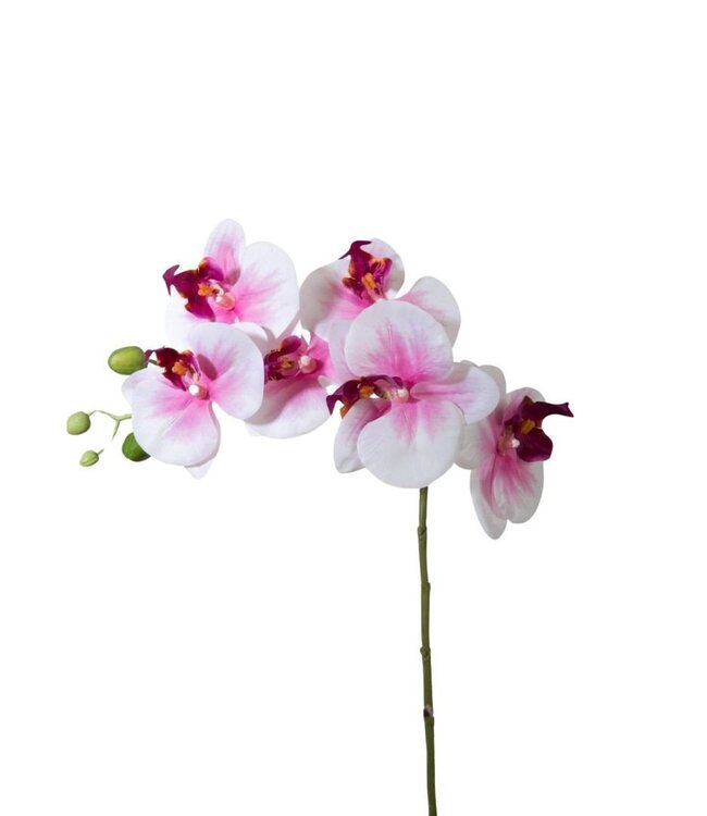 Kunstbloemen Phalaenopsis 68cm ( x 6 )