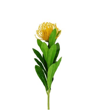 4A Kunstbloemen Leucospermum 66cm ( x 6 )