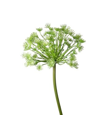 4A Kunstbloemen Queen Ann Lace 83cm ( x 6 )