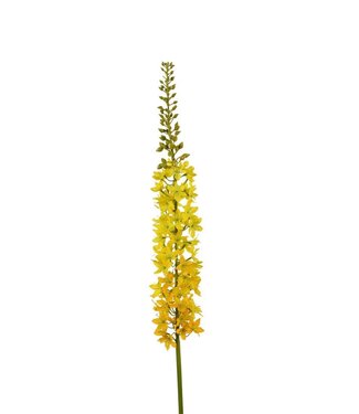 4A Kunstbloemen Eremurus 94cm ( x 2 )