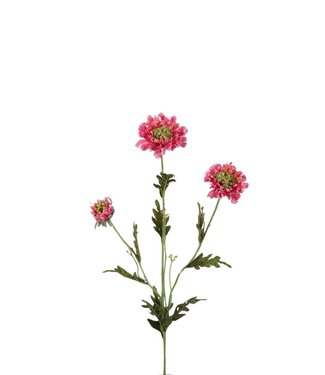 4A Kunstbloemen Scabiosa 66cm ( x 6 )