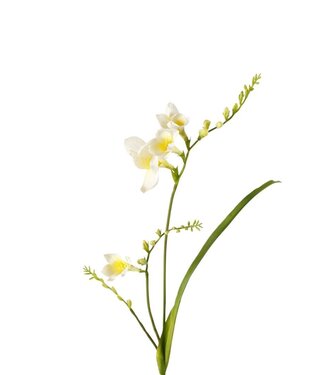 4A Kunstbloemen Freesia 81cm ( x 6 )