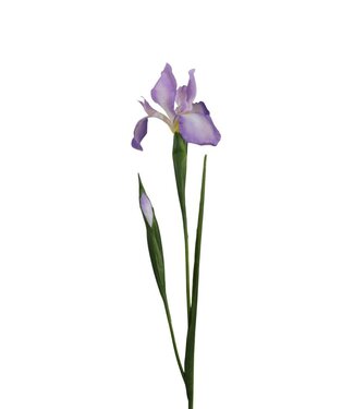 4A Kunstbloemen Iris 75cm ( x 12 )