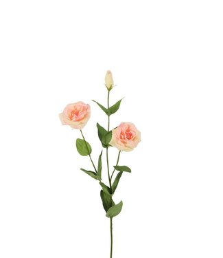 4A Kunstbloemen Lisianthus Real Touch 73cm ( x 6 )