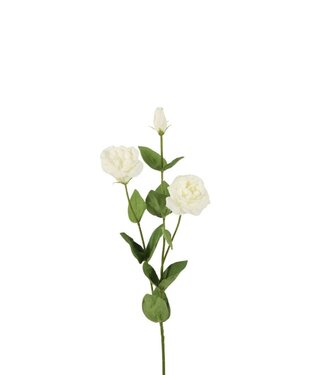 4A Kunstbloemen Lisianthus Real Touch 73cm ( x 6 )