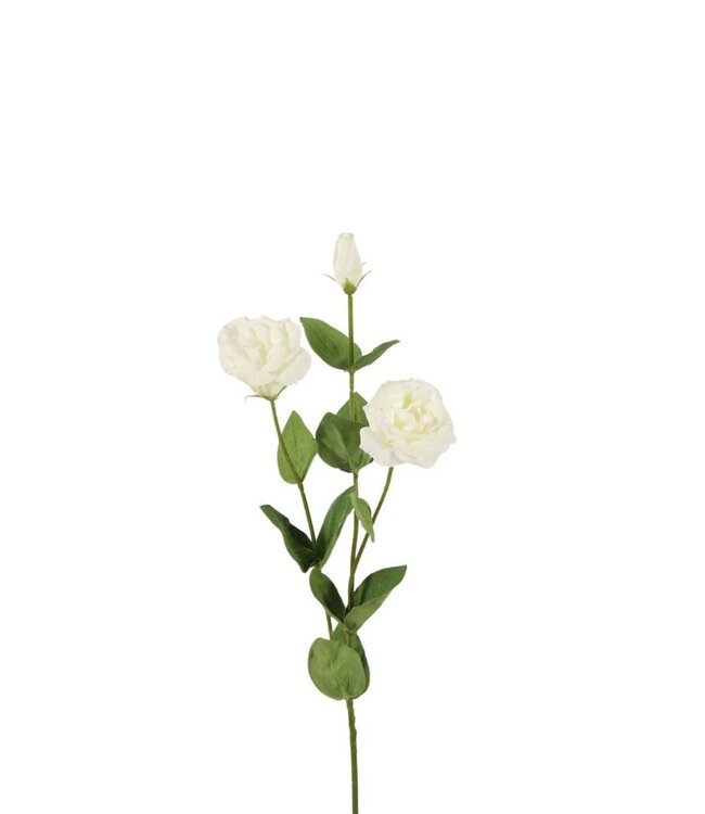 Kunstbloemen Lisianthus Real Touch 73cm ( x 6 )