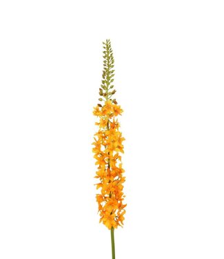 4A Kunstbloemen Eremurus 94cm ( x 2 )