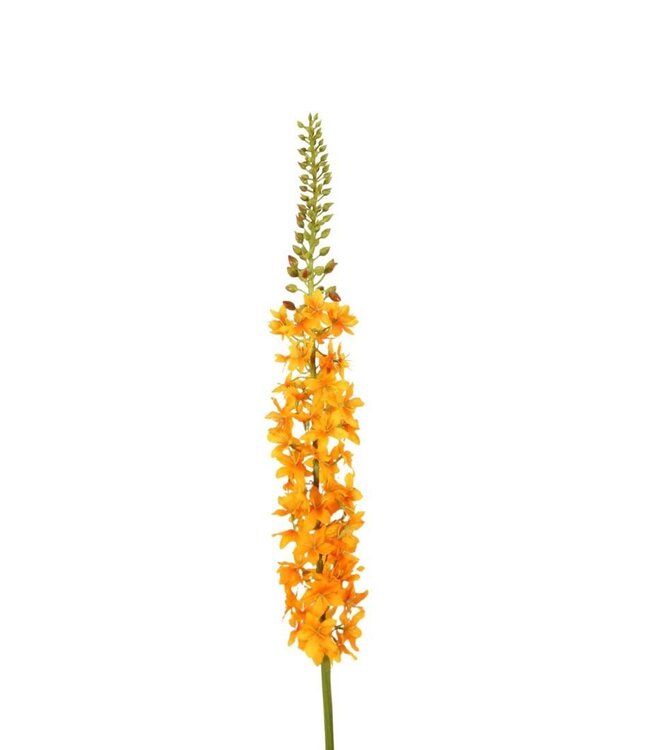 Kunstbloemen Eremurus 94cm ( x 2 )