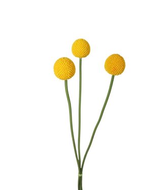 4A Kunstbloemen Craspedia globosa 55cm ( x 6 )