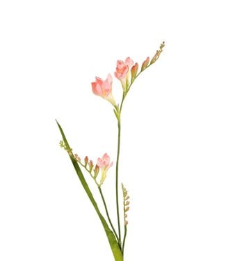 4A Kunstbloemen Freesia 81cm ( x 6 )