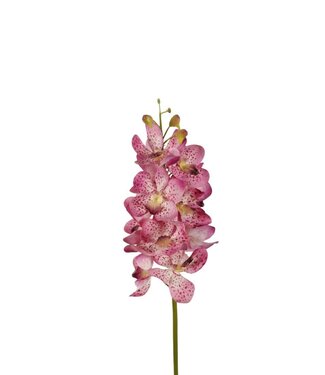 4A Kunstbloemen Orchid Vanda 70cm ( x 4 )