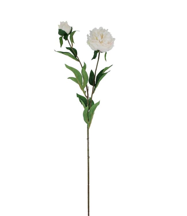 Kunstbloemen Paeonia 87cm ( x 12 )