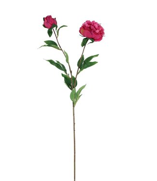 4A Christmas Paeonia artificial flowers | Length 87 cm | 12 pieces