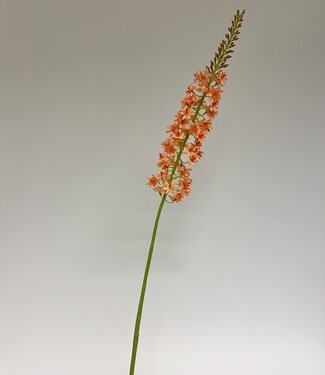 Silk Flowers by JJ Orange eremurus silk flower | Length 82 centimetres | Each