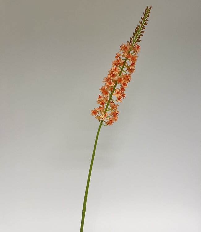 Orange eremurus silk flower | Length 82 centimetres | Ordered by piece