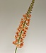 Orange eremurus silk flower | Length 82 centimetres | Ordered by piece