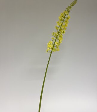 Silk Flowers by JJ Yellow eremurus silk flower | Length 82 centimetres | Per piece