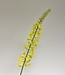 Yellow eremurus silk flower | Length 82 centimetres | Ordered by piece