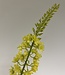 Yellow eremurus silk flower | Length 82 centimetres | Ordered by piece