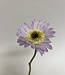 Purple gerbera silk flower | Length 28 centimetres | Ordered by piece