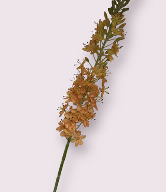 Silk Flowers by JJ Salmon-coloured eremurus silk flower | Length 106 centimetres | Per piece