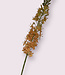 Salmon-coloured eremurus silk flower | Length 106 centimetres | Ordered by piece