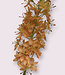 Salmon-coloured eremurus silk flower | Length 106 centimetres | Ordered by piece