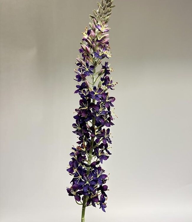 Purple eremurus silk flower | Length 130 centimetres | Ordered by piece