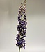 Purple eremurus silk flower | Length 130 centimetres | Ordered by piece