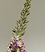 Purple eremurus silk flower | Length 130 centimetres | Ordered by piece