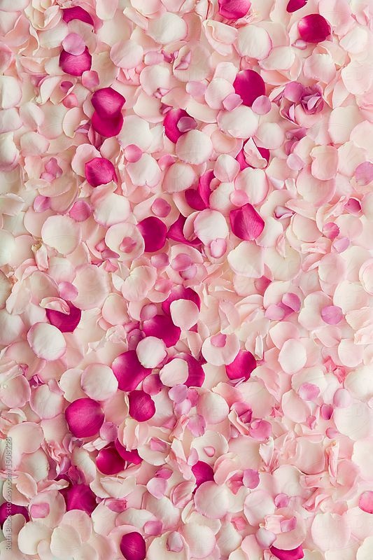 Rose Petals in various colours. For all kinds of creative applications.