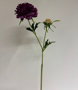 Silk Flowers by JJ scabiosa | paars | 59 centimeter | Per stuk