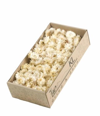 LDD White Straw Flowers Helichrysum heads | Weight 100 grams | Per 6 boxes