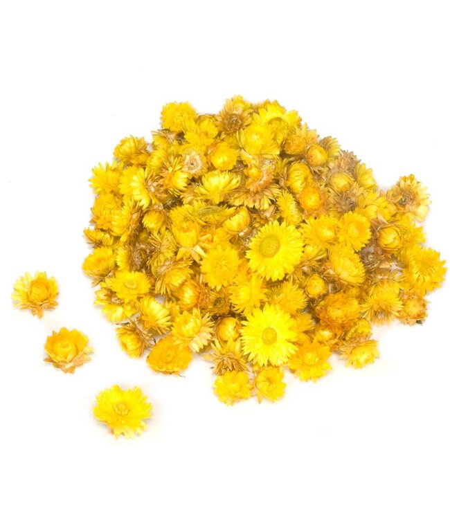 Yellow Straw Flowers Helichrysum heads | Weight 2 kilograms | Ordered by piece