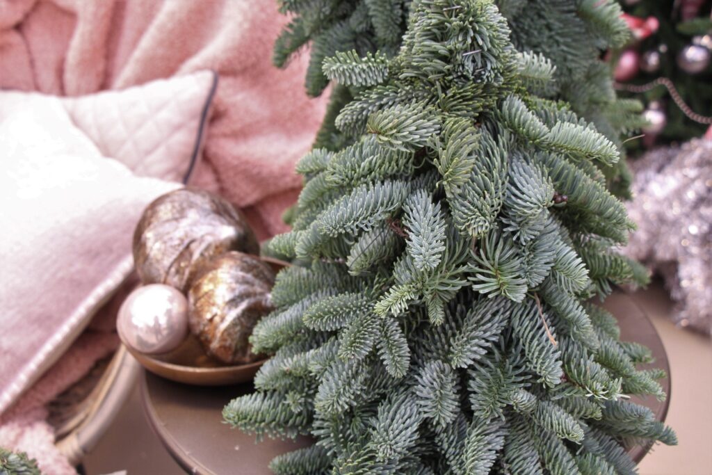 Een Verse Kerst: De Magie van MyFlowers.shop